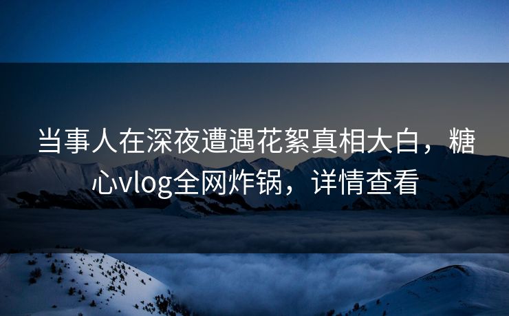 当事人在深夜遭遇花絮真相大白，糖心vlog全网炸锅，详情查看