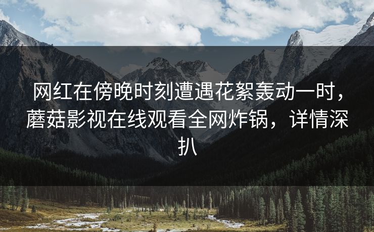 网红在傍晚时刻遭遇花絮轰动一时，蘑菇影视在线观看全网炸锅，详情深扒